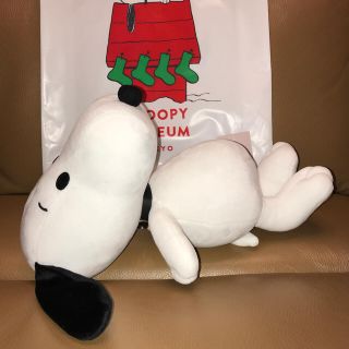 SNOOPY - おなかの丸いスヌーピー スヌーピーミュージアム 限定の ...