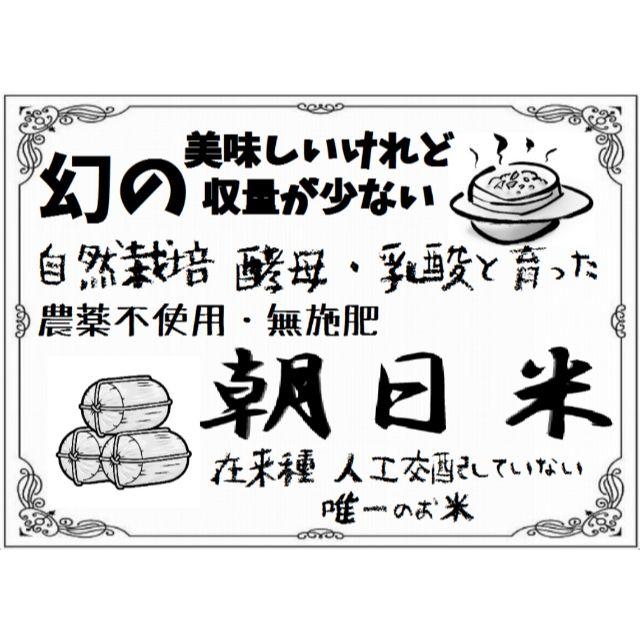 29年岡山県産 幻の朝日米 人工交配していない希少在来種　自然栽培 玄米10ｋg 食品/飲料/酒の食品(米/穀物)の商品写真