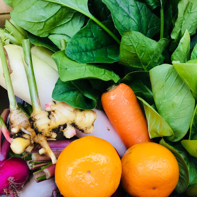 無農薬 朝採り野菜 5キロ箱いっぱい 80サイズ 鹿児島県産 食品/飲料/酒の食品(野菜)の商品写真