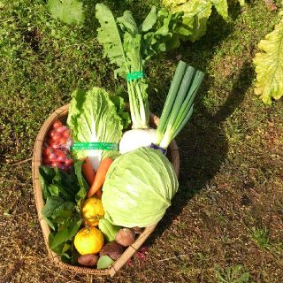 ☆わくわく80サイズ☆岡山産新鮮野菜(野菜)