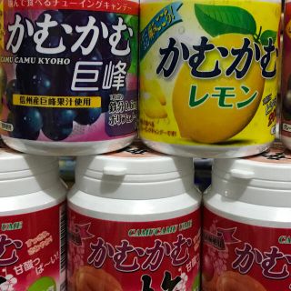 メイジ(明治)のかむかむボトル 5個セット(菓子/デザート)