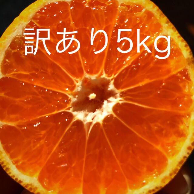 訳あり☆完熟みかん☆5kg 食品/飲料/酒の食品(フルーツ)の商品写真