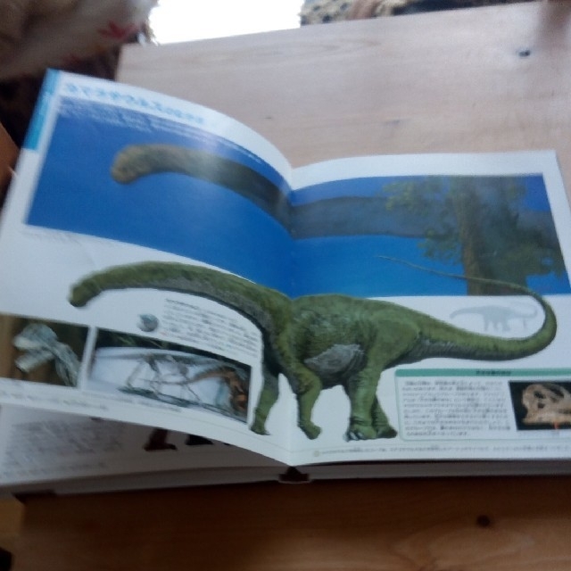小学館の図鑑　恐竜 エンタメ/ホビーの本(ノンフィクション/教養)の商品写真