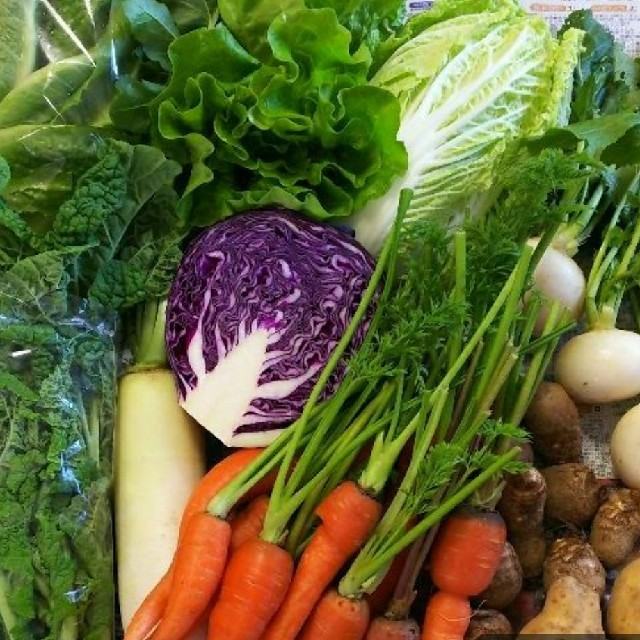 色々お野菜 野菜詰め合わせ 食品/飲料/酒の食品(野菜)の商品写真