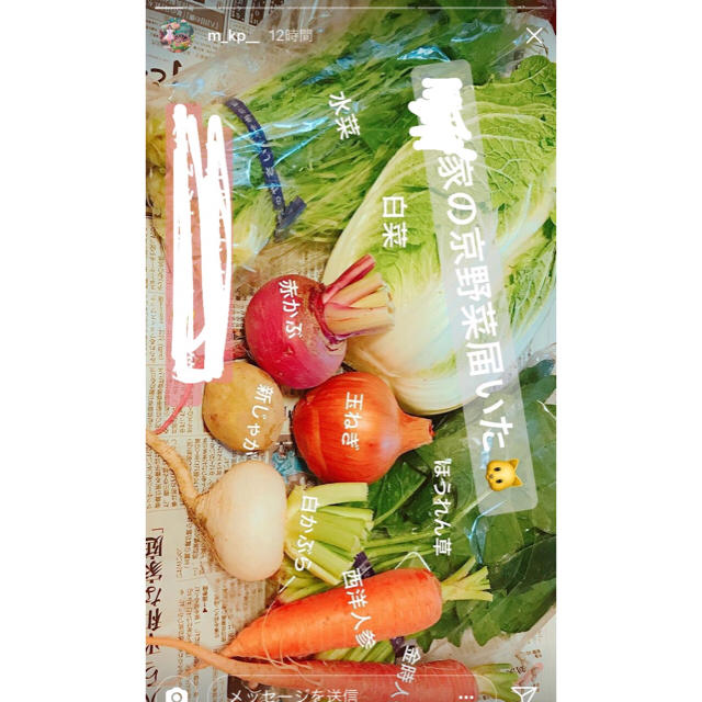 京野菜 詰め合わせ セット 100サイズ タケノコ入り 無農薬 食品/飲料/酒の食品(野菜)の商品写真
