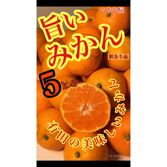 有田みかん 5ｋｇ 訳あり品 食品/飲料/酒の食品(フルーツ)の商品写真