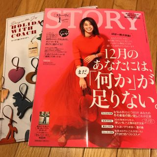 コウブンシャ(光文社)のSTORY １月号  (その他)