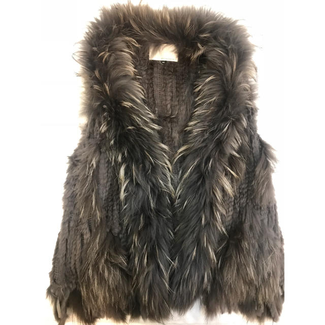LE CIEL BLEU(ルシェルブルー)のアンシャントマン  ファーベスト 完売 レディースのジャケット/アウター(毛皮/ファーコート)の商品写真