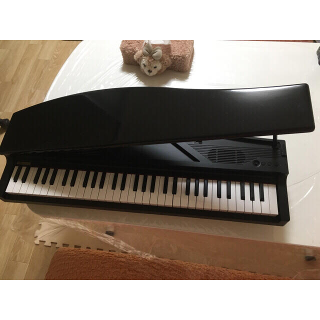 KORG MICROPIANO  マイクロピアノ 楽器の鍵盤楽器(電子ピアノ)の商品写真