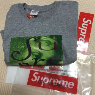 シュプリーム(Supreme)のLサイズ Venus Tee(その他)