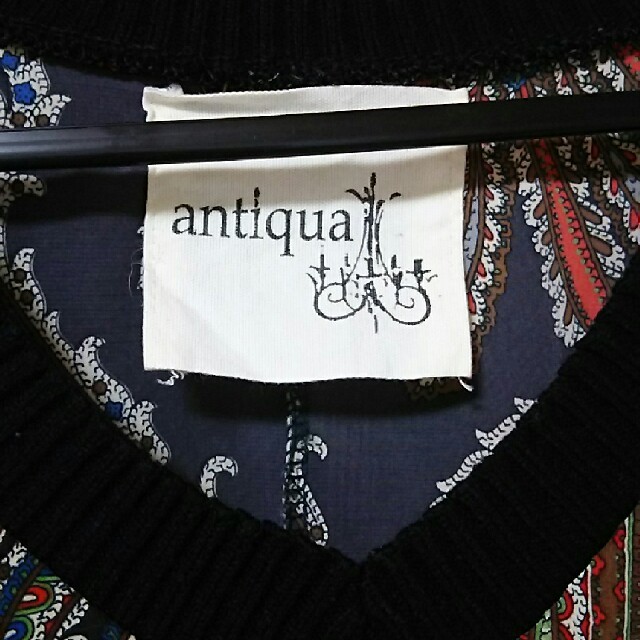 antiqua(アンティカ)の【antique】ペイズリーのカットソー レディースのトップス(カットソー(半袖/袖なし))の商品写真