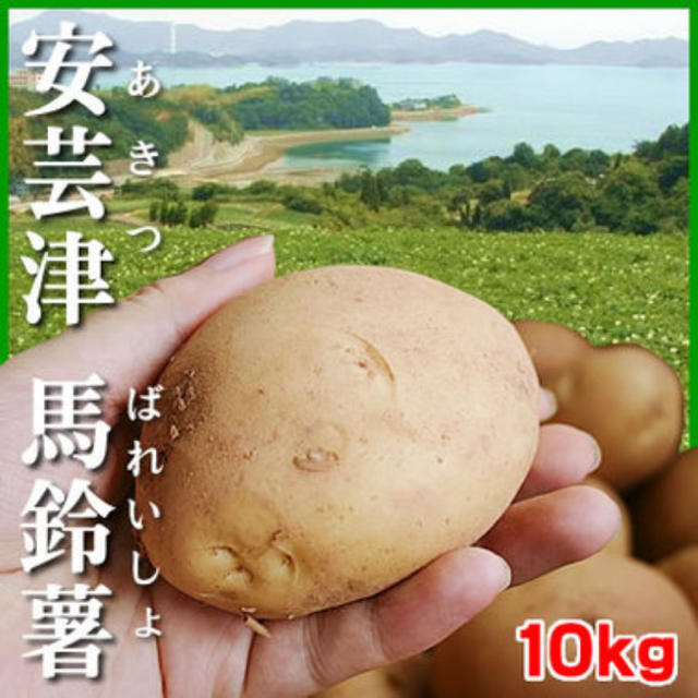 広島県安芸津町産 じゃがいも 新じゃが10kg訳あり 食品/飲料/酒の食品(野菜)の商品写真