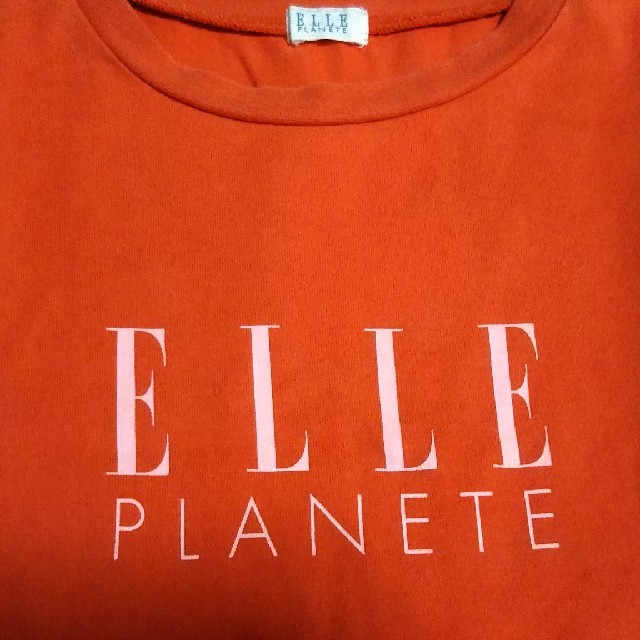 ELLE(エル)のうー様専用  Tシャツ レディースのトップス(その他)の商品写真