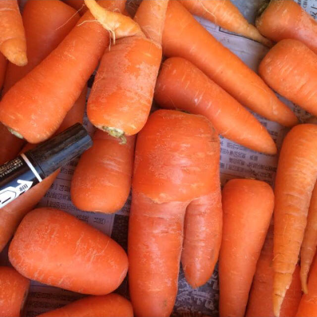 訳ありにんじん 10kg 小 食品/飲料/酒の食品(野菜)の商品写真