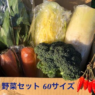 新鮮！野菜詰め合わせ 60サイズ セット(野菜)