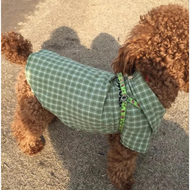 かなぴょん様専用値下げ！！秋冬カワイイ犬洋服緑Lサイズ その他のペット用品(犬)の商品写真