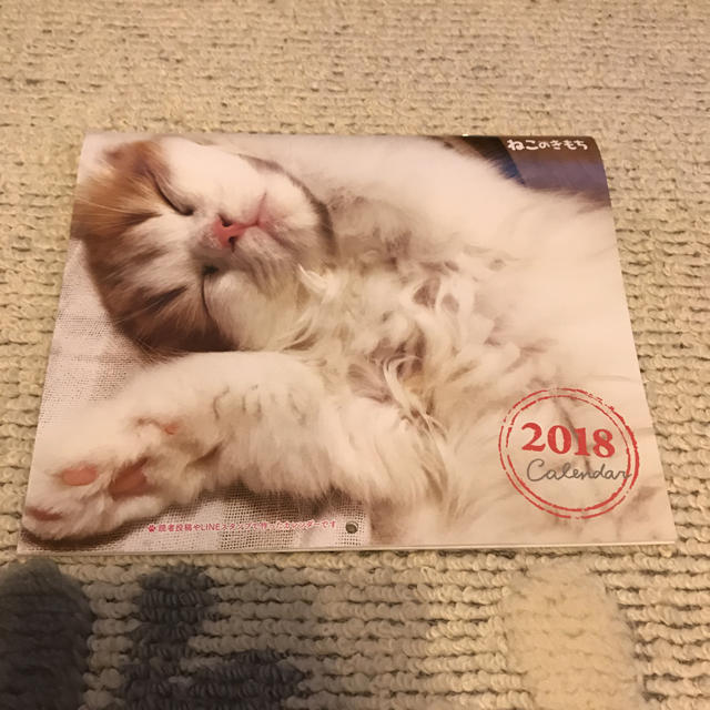 ねこのきもち 付録 2018年カレンダー その他のペット用品(猫)の商品写真