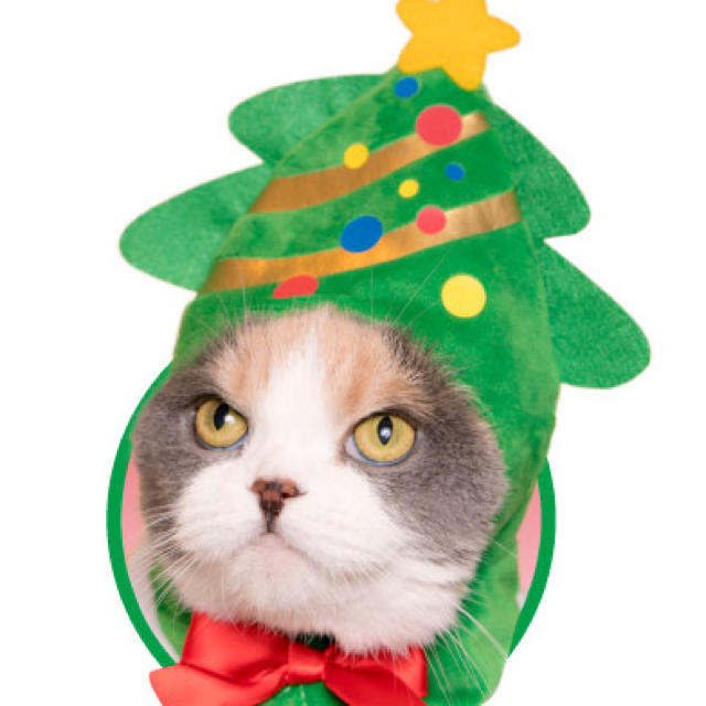 ねこのかぶりもの ねこクリスマスちゃん ツリー 単品 その他のペット用品(猫)の商品写真