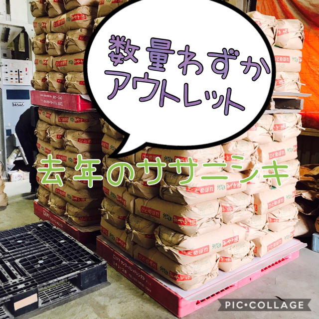 くろ様専用平成28年度産ササニシキ30キロ 食品/飲料/酒の食品(米/穀物)の商品写真