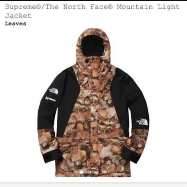 M size supreme north face 枯葉 leavesのサムネイル