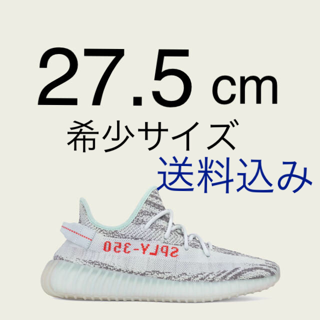 adidas(アディダス)のYEEZY BOOST 350 V2 メンズの靴/シューズ(スニーカー)の商品写真