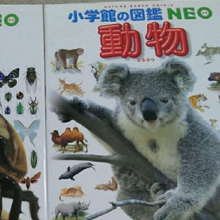 ショウガクカン(小学館)のNEO 小学館図鑑　動物(語学/参考書)