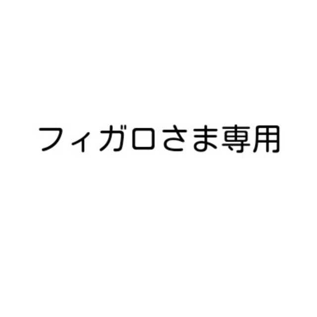 フィガロさま専用 - その他