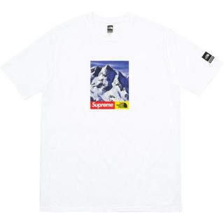 シュプリーム(Supreme)のMサイズ supreme the north face mountain tee(Tシャツ/カットソー(半袖/袖なし))