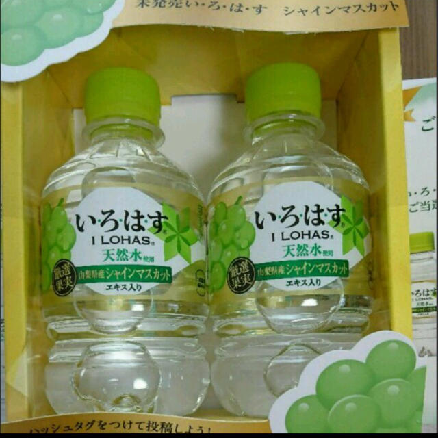 コカ・コーラ(コカコーラ)のいろはす シャインマスカット！ 食品/飲料/酒の飲料(ミネラルウォーター)の商品写真