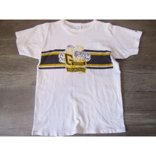 チャンピオン(Champion)の33sx 80's チャンピオンChampion 染み込みTシャツ◆L(その他)