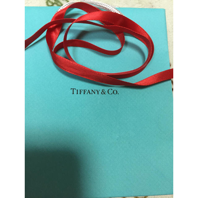 Tiffany & Co.(ティファニー)のTIFFANY&Co.リターントゥティファニーダブルハートタグペンダント レディースのアクセサリー(ネックレス)の商品写真