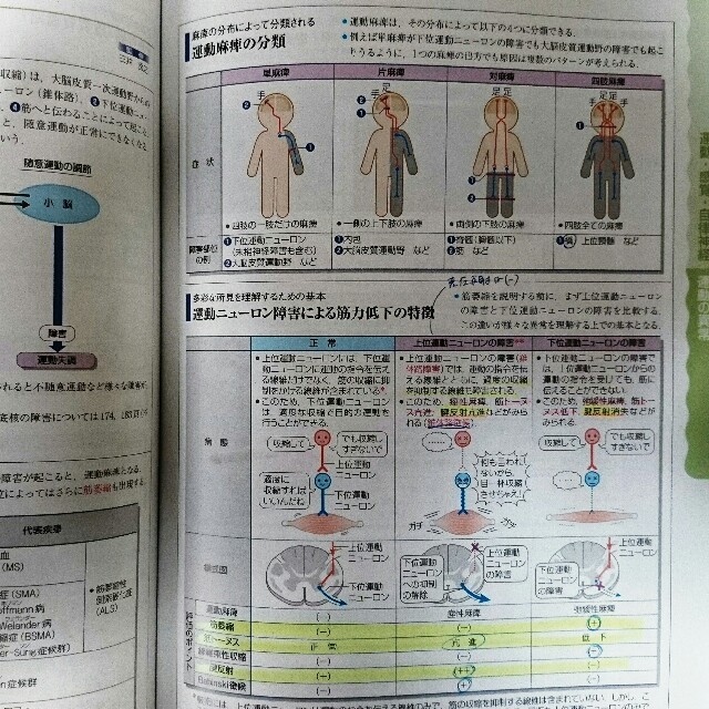 くみ様専用】病気がみえるvol.7 脳 神経 の通販 by hmoshima's shop