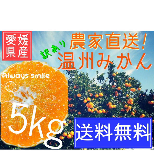 ttt.kaaasan様専用 食品/飲料/酒の食品(フルーツ)の商品写真