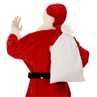 サンタさんの袋 普通サイズ Mサイズ プレゼント袋 サンタの袋　クリスマス(小道具)