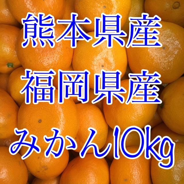 熊本県産 福岡県産 みかん10kg   食品/飲料/酒の食品(フルーツ)の商品写真