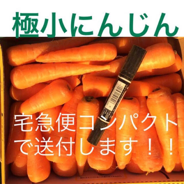 にんじん お試しコンパクトサイズ 1kg 食品/飲料/酒の食品(野菜)の商品写真