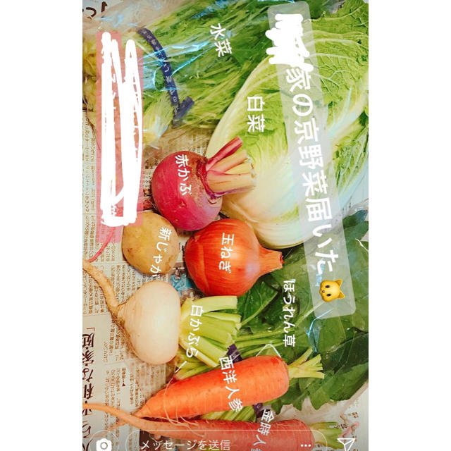 京野菜 詰め合わせ セット 100サイズ タケノコ入 無農薬 食品/飲料/酒の食品(野菜)の商品写真