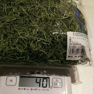 スパニッシュモス グリーン 40g ドライフラワー(ドライフラワー)