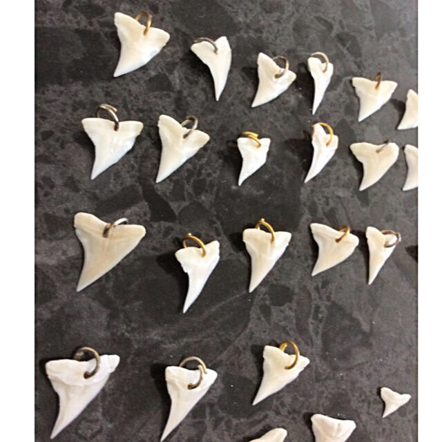 ハンドメイド材料♡サメの歯 ハンドメイドの素材/材料(各種パーツ)の商品写真
