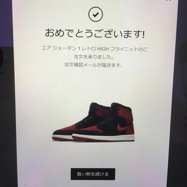 NIKE(ナイキ)のAir Jordan 1 Retro High banned flynit メンズの靴/シューズ(スニーカー)の商品写真