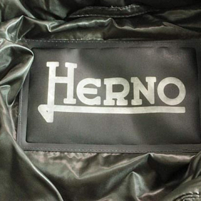 HERNO(ヘルノ)のヘルノ 42 ダウン 羽マーク３つ レディースのジャケット/アウター(ダウンコート)の商品写真