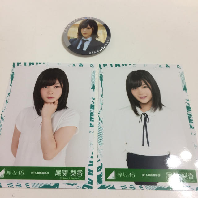 欅坂46(けやき坂46)(ケヤキザカフォーティーシックス)の欅坂46 尾関梨香 缶バッジ&生写真2枚 エンタメ/ホビーのタレントグッズ(アイドルグッズ)の商品写真