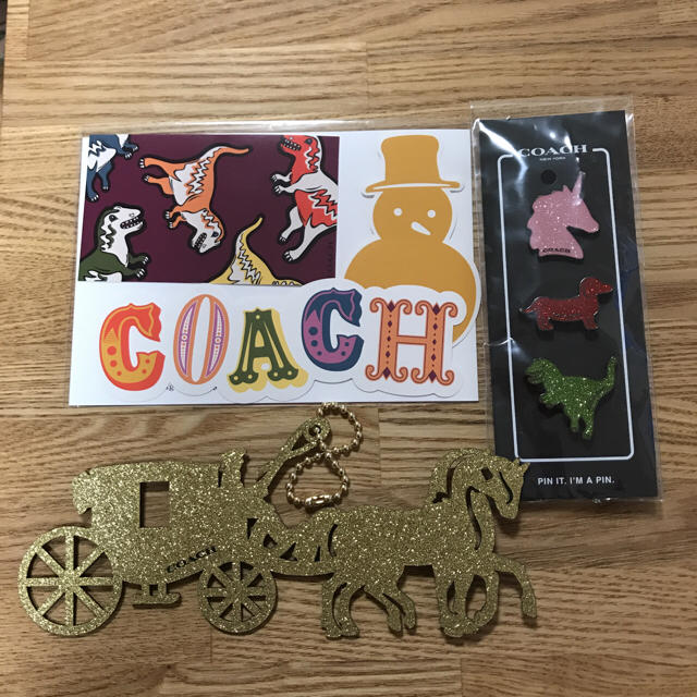 COACH(コーチ)のCOACH ピンバッチ、ステッカー エンタメ/ホビーのアニメグッズ(バッジ/ピンバッジ)の商品写真