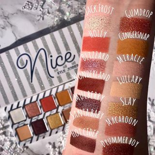 カイリーコスメティックス(Kylie Cosmetics)のthe Nice palette(アイシャドウ)