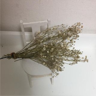 37 かすみ草 ドライフラワー ドライフラワー花材(ドライフラワー)