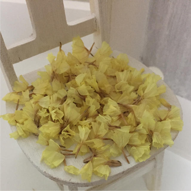 41 ドライフラワー 花材 スターチス  黄色 イエロー ハンドメイドのフラワー/ガーデン(ドライフラワー)の商品写真