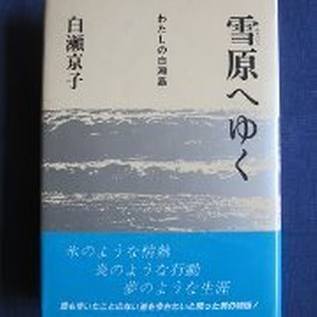 「雪原へゆく」 わたしの白瀬矗 白瀬京子（著） 秋田書房 単行本 エンタメ/ホビーの本(文学/小説)の商品写真