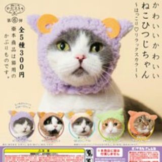 かわいい かわいい ねこひつじちゃん 〜ほっこり♡リラックスカラー(猫)