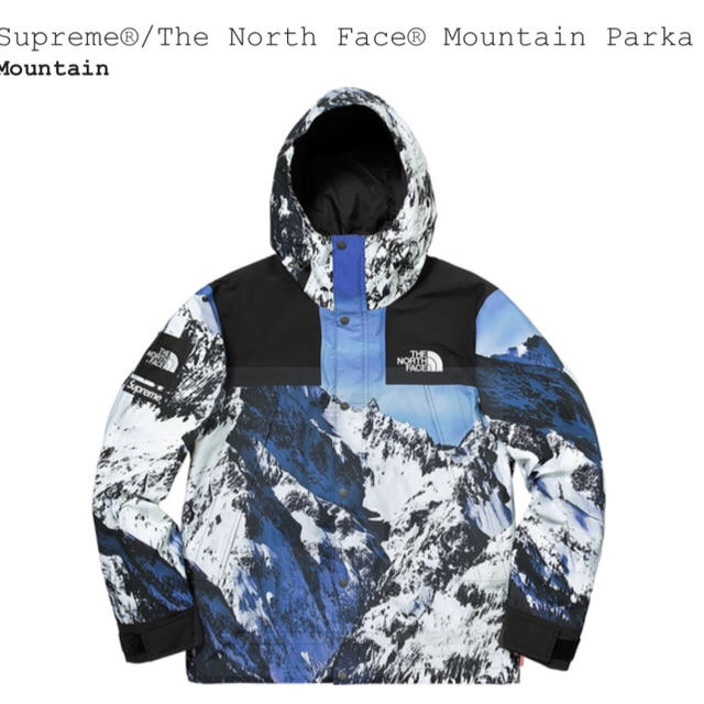 supreme the north face mountain parkaマウンテンパーカー