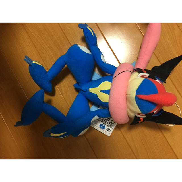 ポケモン ポケモン ぬいぐるみ サトシゲッコウガ イワンコ ロトム図鑑 トゲデマルの通販 By りー S Shop ポケモンならラクマ